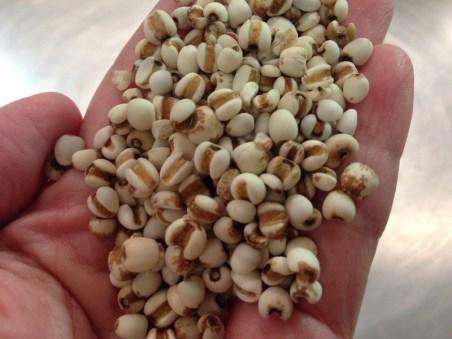 炒薏米要炒几分钟（炒薏米水）