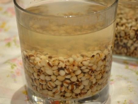 炒薏米要炒几分钟（炒薏米水）