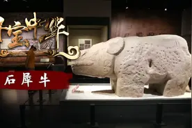 寻宝中华丨石犀牛视频封面