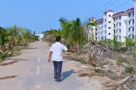 三亚违建小区被拆除，住户拾荒留守4年视频封面