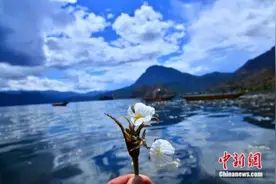 泸沽湖的“水性杨花”美爆了 但我只想问怎么吃图片