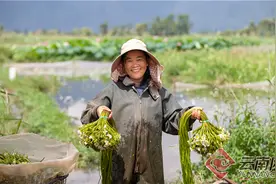 云南泸沽湖的“水性杨花”：再不吃，这些菜就要消失了图片