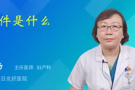附件是什么