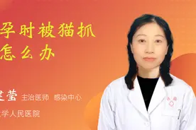 怀孕时被猫抓伤怎么办视频封面