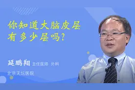 你知道大脑皮层有多少层吗？