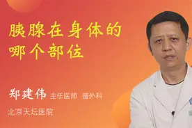 胰腺在身体的哪个部位视频封面