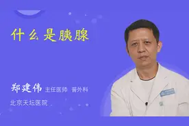 什么是胰腺