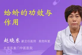 蛤蚧的功效与作用