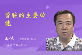 肾脏的主要功能视频封面