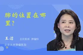 肺的位置