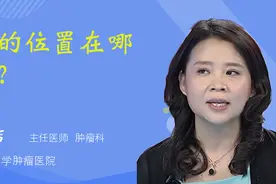 肺的位置