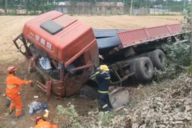 撞倒七八棵树后翻进沟，这辆大货车疲劳驾驶真揪心图片