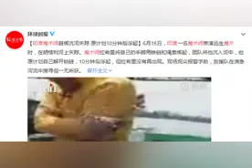 魔术师表演时失踪怎么回事 魔术师表演时失踪是死亡了么？图片