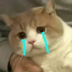 紧急提醒！只剩最后1天做这事，影响桂林人生活的方方面面，速告诉家里人…