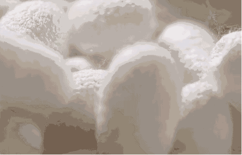 蚕丝被被曝光了！被子盖的不对，对身体有哪些危害，不知道的赶紧看看...