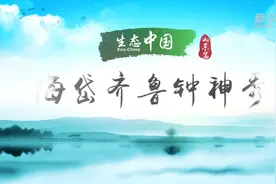 生态中国·海岱齐鲁钟神秀视频封面