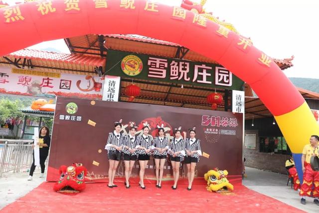 饱尝千秋百味，不如大鲵美味