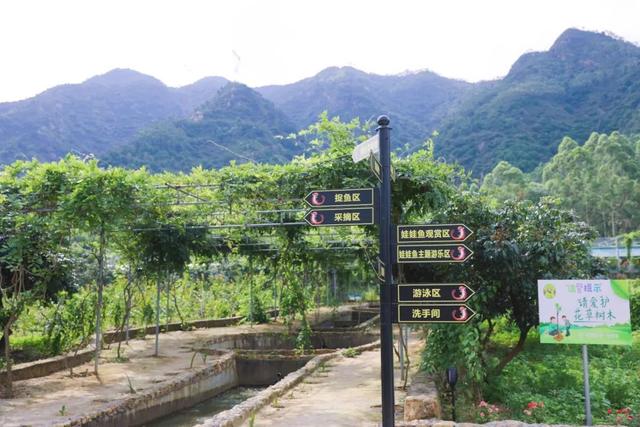 饱尝千秋百味，不如大鲵美味