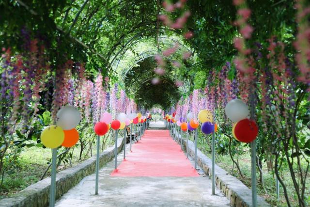 饱尝千秋百味，不如大鲵美味