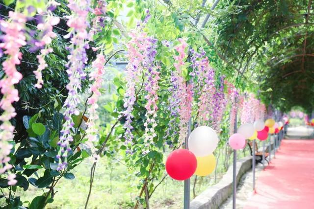 饱尝千秋百味，不如大鲵美味