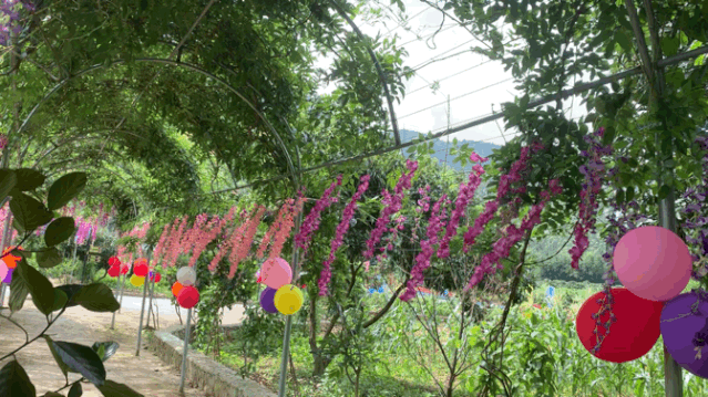 饱尝千秋百味，不如大鲵美味