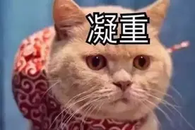 当熊孩子遇到打火机……图片