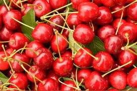 樱桃虽然好吃但是不可以多吃，吃樱桃的这样注意事项你知道吗？图片