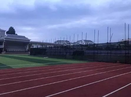 操场埋尸16年，谁在合谋？