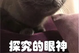 这算侵犯隐私吗？我家在门铃上安装了监控，能拍着对面邻居的房门图片