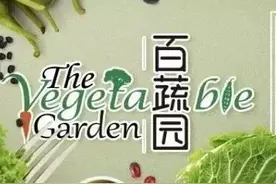 世园会 · 百蔬园丨百种时令蔬菜 —— 藿香（七十三）图片