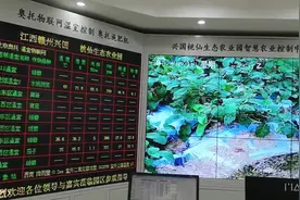 中国田间车间“云图”越来越多视频封面
