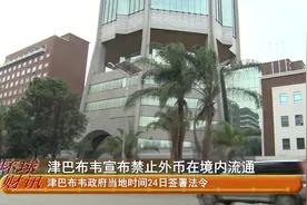 津巴布韦宣布禁止外币在境内流通视频封面