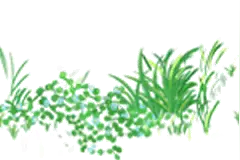 你和花儿，一样美图片