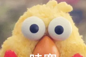 美爆整个夏天！解锁洛阳6个赏荷打卡地，关键还免费！图片