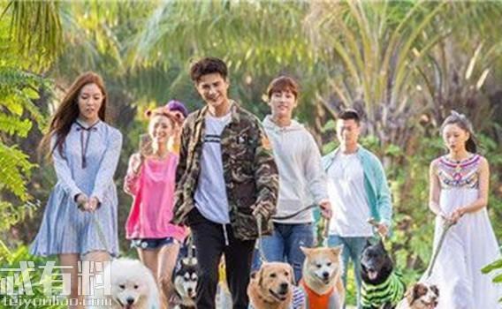 神犬小七3播出具体时间 剧情是什么讲述了什么样的故事？