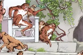 《猴王出世》丨那些年，我们一起读过的课文图片