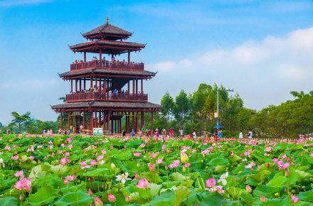 荷叶田田千点碧，藕花冉冉满城香