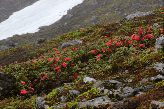 ����С���ī�ѡ����������Ͽ��Խ��ʵ