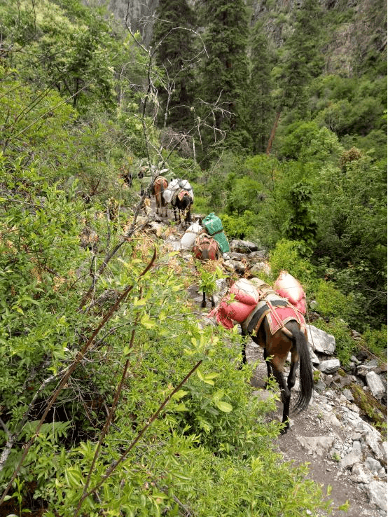 ����С���ī�ѡ����������Ͽ��Խ��ʵ