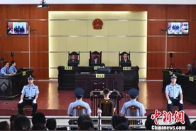 安徽安庆“五千年文博园”非法吸存案二审宣判图片