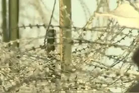 视频|俄媒预测：美伊若开战，油价将升至每桶250美元，或成又一场阿富汗战争视频封面