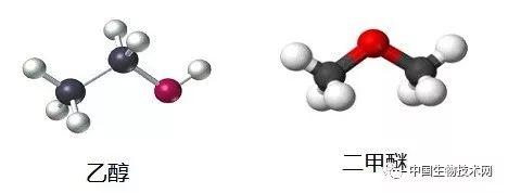 为什么很多药物要有特定的手性？