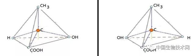 为什么很多药物要有特定的手性？