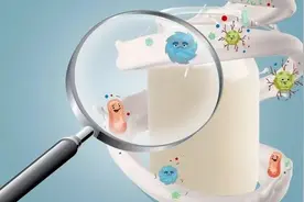 婴幼儿益生菌产品真相：多为固体饮料却宣传功效，活菌含量成谜图片