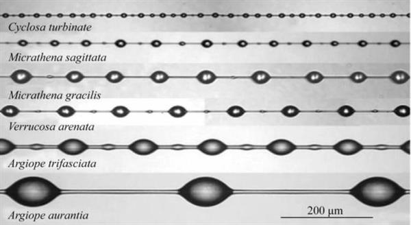 徒手停火车 蜘蛛侠的蛛丝真的有这么厉害？