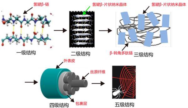 徒手停火车 蜘蛛侠的蛛丝真的有这么厉害？