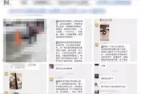 杭州母女小区内遭4条狗围攻，妈妈被咬到休克！女儿崩溃：狗主人眼睁睁看着我们被咬图片