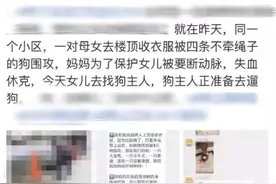 杭州母女小区内遭4条狗围攻，妈妈被咬到休克！女儿崩溃：狗主人眼睁睁看着我们被咬图片