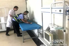 看好自家孩子！河北磁县五岁女童不慎从房顶坠落图片
