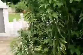 【记者调查】视频▏墓地为何要铺塑料草坪伪装？是建在基本农田里的，伪装是要防遥感卫星视频封面